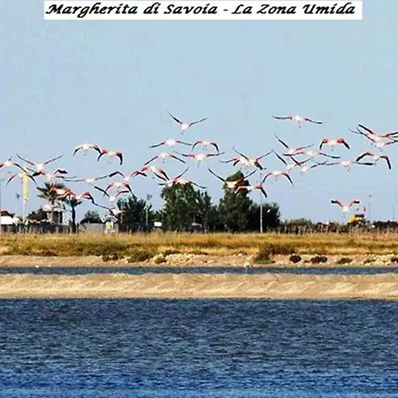 Tenuta San Francesco Barletta